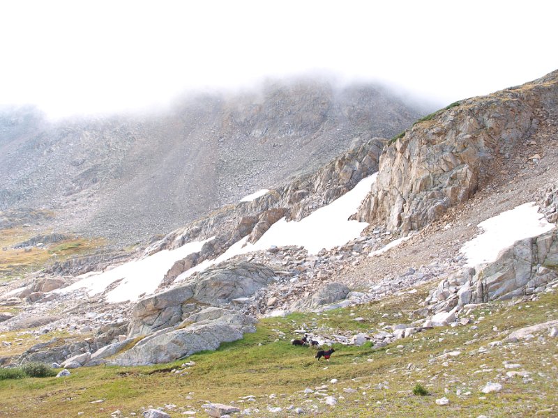 P9078868