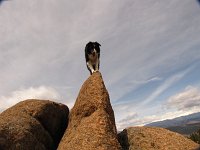 IMG_0439