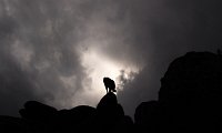 IMG_0624b