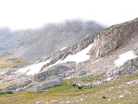 P9078868